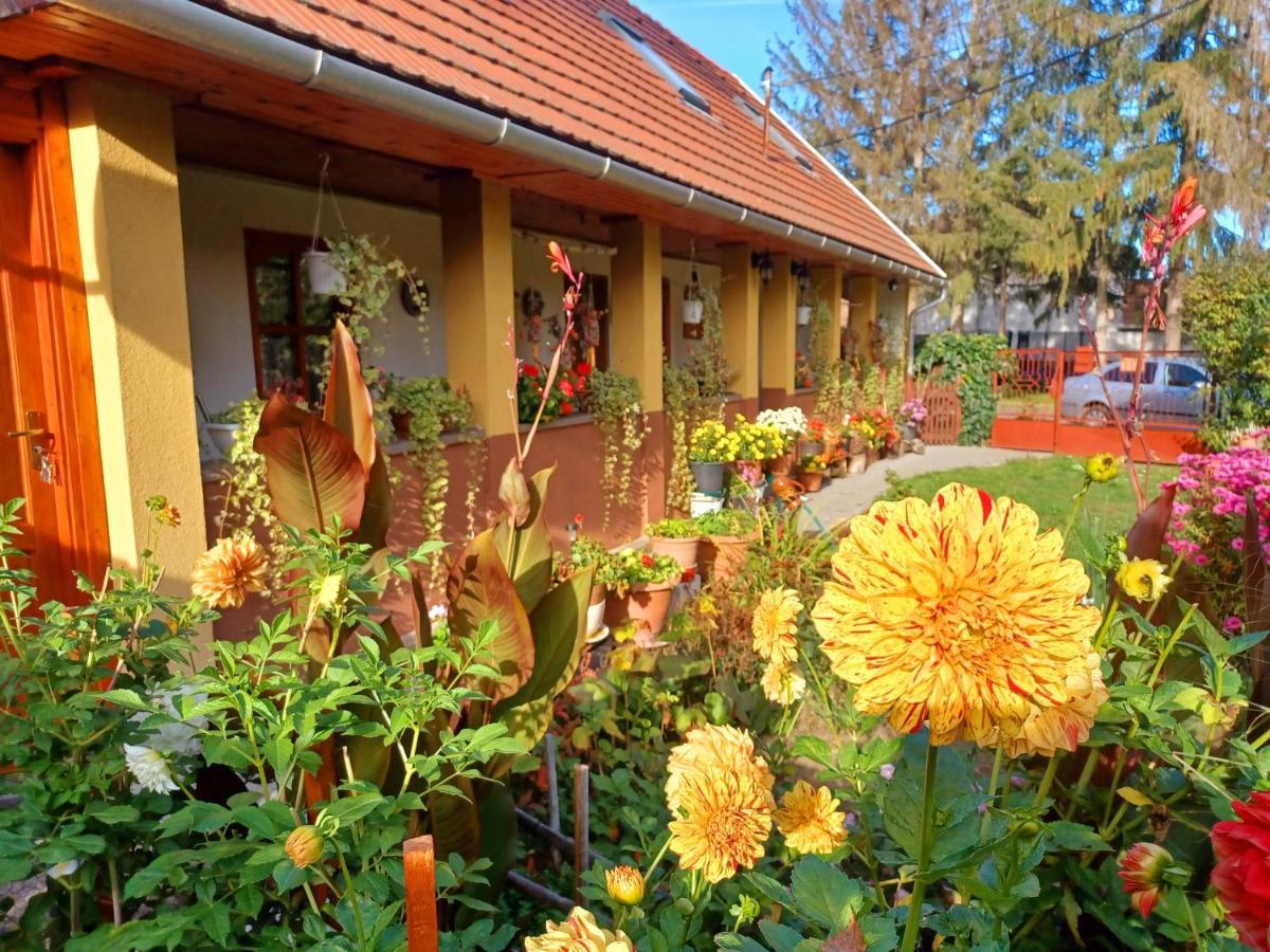 Apartamento Tulipán Ház Bodony Exterior foto